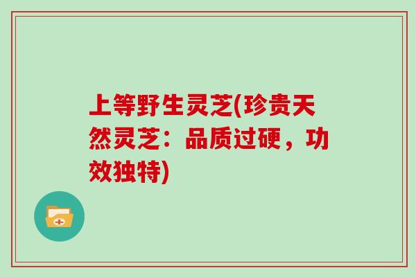 上等野生灵芝(珍贵天然灵芝：品质过硬，功效独特)