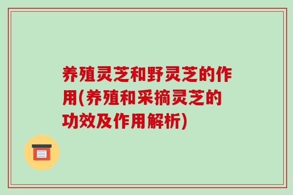 养殖灵芝和野灵芝的作用(养殖和采摘灵芝的功效及作用解析)