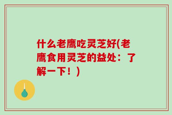 什么老鹰吃灵芝好(老鹰食用灵芝的益处:了解一下!) 什么老鹰吃灵芝好(老鹰食用灵芝的益处:了解一下!)