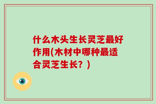 什么木头生长灵芝好作用(木材中哪种适合灵芝生长？)