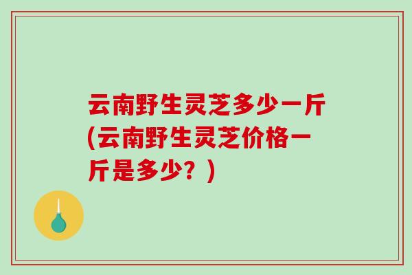 云南野生灵芝多少一斤(云南野生灵芝价格一斤是多少？)