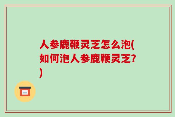 人参鹿鞭灵芝怎么泡(如何泡人参鹿鞭灵芝?) 人参鹿鞭灵芝怎么泡(如何泡人参鹿鞭灵芝?)