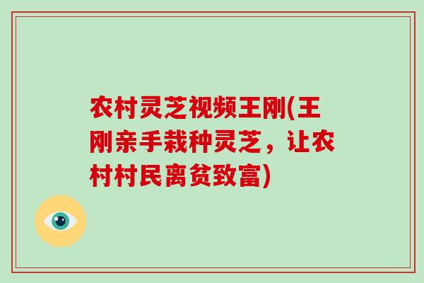 农村灵芝视频王刚(王刚亲手栽种灵芝，让农村村民离贫致富)