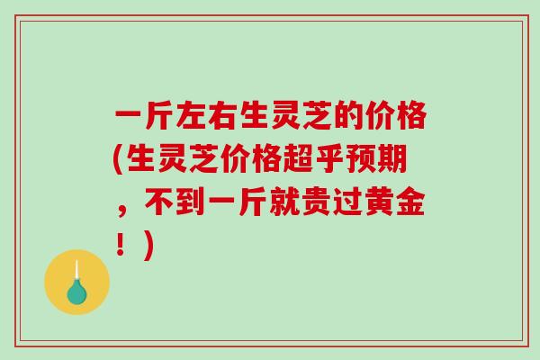 一斤左右生灵芝的价格(生灵芝价格超乎预期，不到一斤就贵过黄金！)