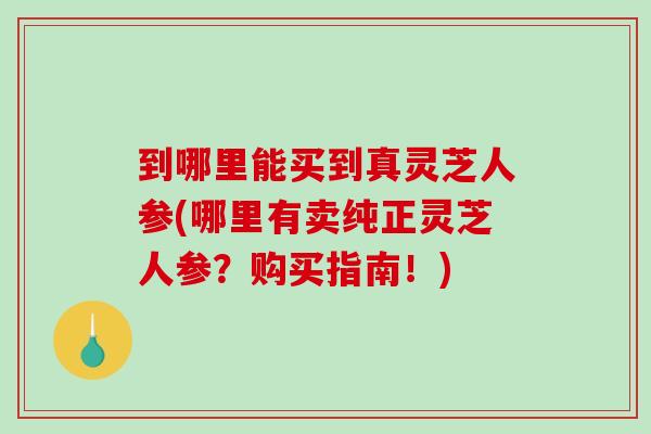 到哪里能买到真灵芝人参(哪里有卖纯正灵芝人参？购买指南！)