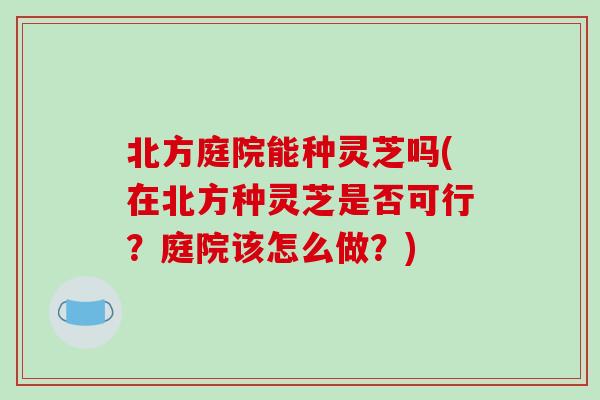 北方庭院能种灵芝吗(在北方种灵芝是否可行?庭院该怎么做?) 北方庭院能种灵芝吗(在北方种灵芝是否可行?庭院该怎么做?)