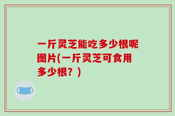 一斤灵芝能吃多少根呢图片(一斤灵芝可食用多少根?) 一斤灵芝能吃多少根呢图片(一斤灵芝可食用多少根?)