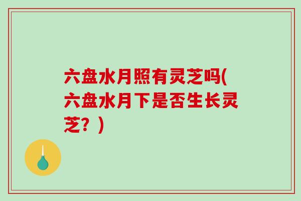 六盘水月照有灵芝吗(六盘水月下是否生长灵芝?) 六盘水月照有灵芝吗(六盘水月下是否生长灵芝?)