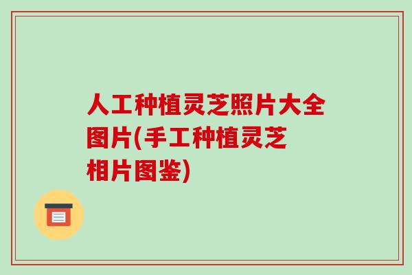人工种植灵芝照片大全图片(手工种植灵芝 相片图鉴) 人工种植灵芝照片大全图片(手工种植灵芝 相片图鉴)