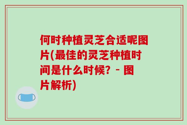 何时种植灵芝合适呢图片(佳的灵芝种植时间是什么时候？- 图片解析)