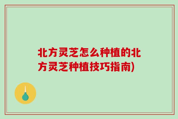 北方灵芝怎么种植的北方灵芝种植技巧指南) 北方灵芝怎么种植的北方灵芝种植技巧指南)