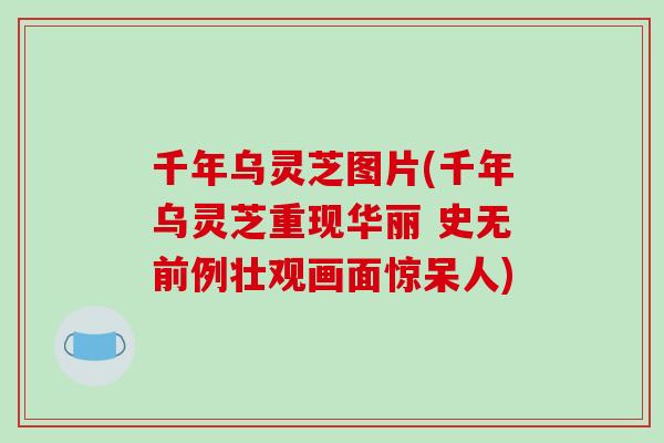 千年乌灵芝图片(千年乌灵芝重现华丽 史无前例壮观画面惊呆人)