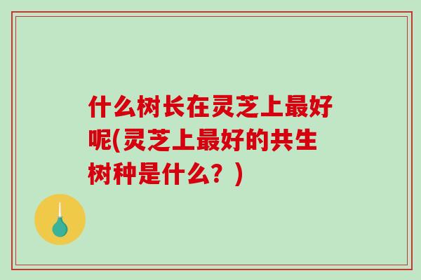 什么树长在灵芝上好呢(灵芝上好的共生树种是什么?) 什么树长在灵芝上好呢(灵芝上好的共生树种是什么?)