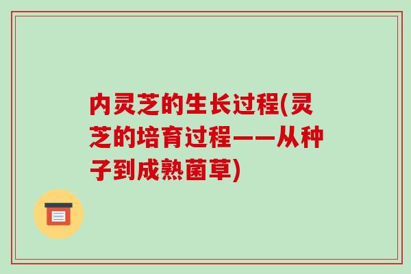 内灵芝的生长过程(灵芝的培育过程——从种子到成熟菌草)