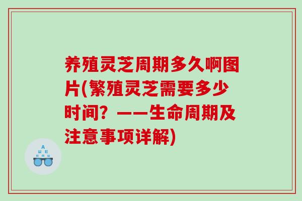 养殖灵芝周期多久啊图片(繁殖灵芝需要多少时间?——生命周期及注意事项详解) 养殖灵芝周期多久啊图片(繁殖灵芝需要多少时间?——生命周期及注意事项详解)