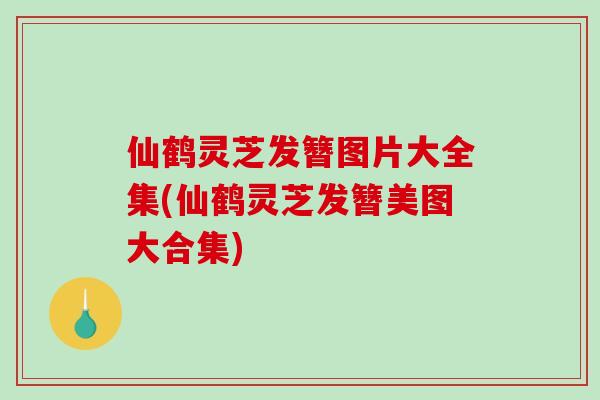 仙鹤灵芝发簪图片大全集(仙鹤灵芝发簪美图大合集)