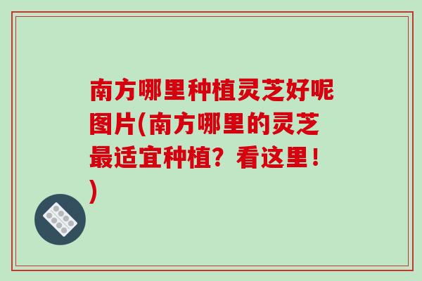 南方哪里种植灵芝好呢图片(南方哪里的灵芝适宜种植?看这里!) 南方哪里种植灵芝好呢图片(南方哪里的灵芝适宜种植?看这里!)