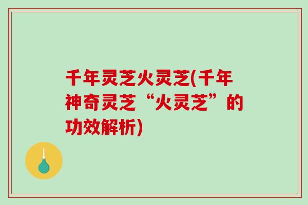 千年灵芝火灵芝(千年神奇灵芝“火灵芝”的功效解析) 千年灵芝火灵芝(千年神奇灵芝“火灵芝”的功效解析)