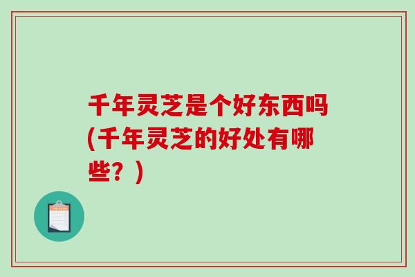 千年灵芝是个好东西吗(千年灵芝的好处有哪些?) 千年灵芝是个好东西吗(千年灵芝的好处有哪些?)
