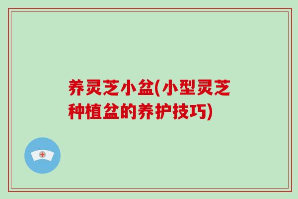 养灵芝小盆(小型灵芝种植盆的养护技巧) 养灵芝小盆(小型灵芝种植盆的养护技巧)
