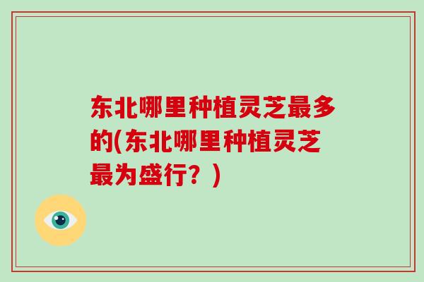 东北哪里种植灵芝多的(东北哪里种植灵芝为盛行？)