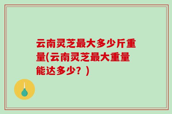 云南灵芝大多少斤重量(云南灵芝大重量能达多少？)