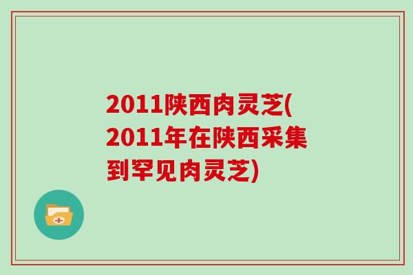2011陕西肉灵芝(2011年在陕西采集到罕见肉灵芝) 2011陕西肉灵芝(2011年在陕西采集到罕见肉灵芝)