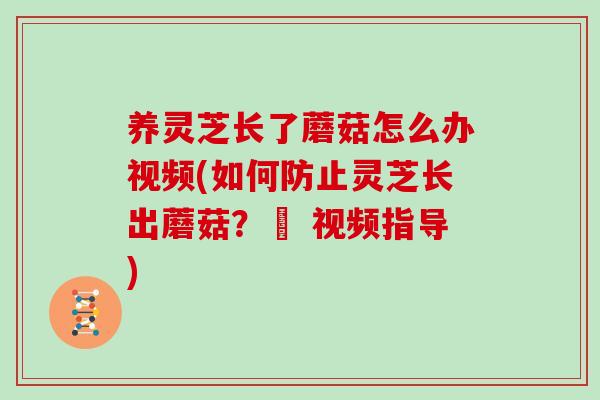 养灵芝长了蘑菇怎么办视频(如何防止灵芝长出蘑菇？– 视频指导)