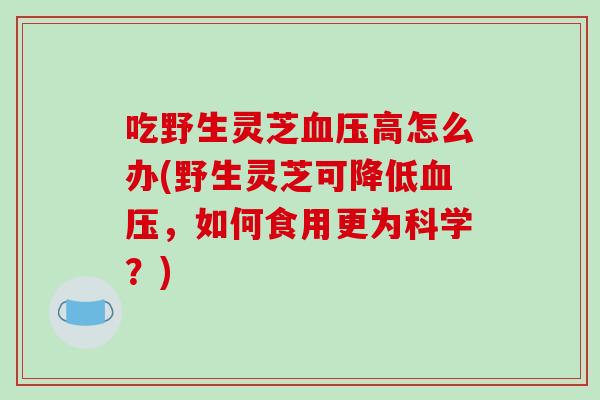 吃野生灵芝高怎么办(野生灵芝可降低，如何食用更为科学？)