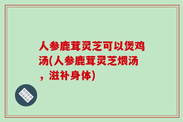 人参鹿茸灵芝可以煲鸡汤(人参鹿茸灵芝煨汤,滋补身体) 人参鹿茸灵芝可以煲鸡汤(人参鹿茸灵芝煨汤,滋补身体)