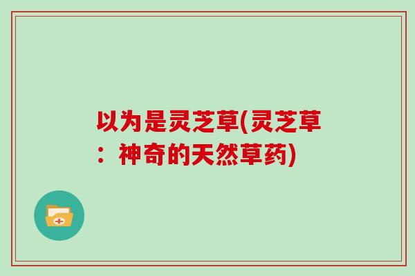 以为是灵芝草(灵芝草:神奇的天然草药) 以为是灵芝草(灵芝草:神奇的天然草药)