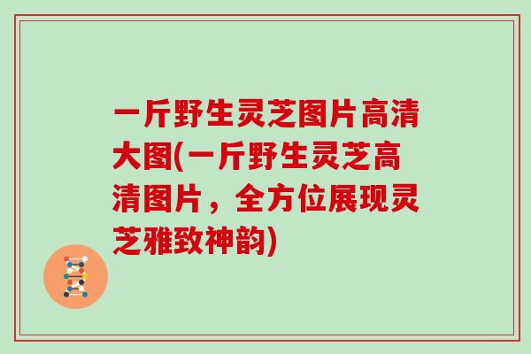 一斤野生灵芝图片高清大图(一斤野生灵芝高清图片,全方位展现灵芝雅致神韵) 一斤野生灵芝图片高清大图(一斤野生灵芝高清图片,全方位展现灵芝雅致神韵)