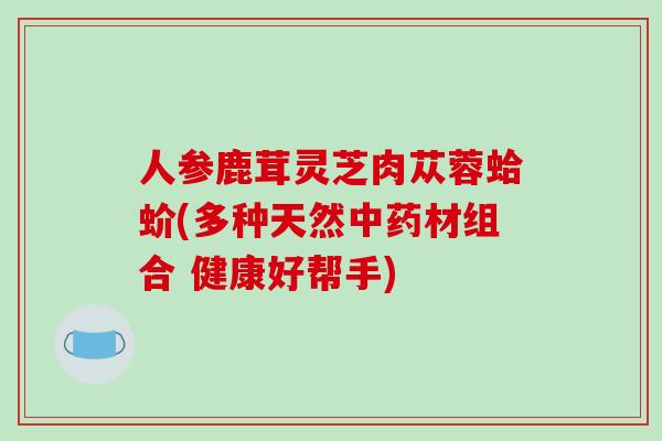 人参鹿茸灵芝肉苁蓉蛤蚧(多种天然材组合 健康好帮手)