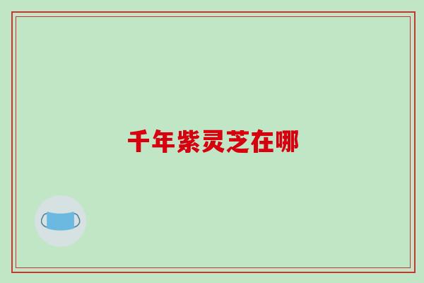 千年紫灵芝在哪
