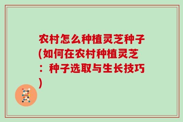 农村怎么种植灵芝种子(如何在农村种植灵芝:种子选取与生长技巧) 农村怎么种植灵芝种子(如何在农村种植灵芝:种子选取与生长技巧)