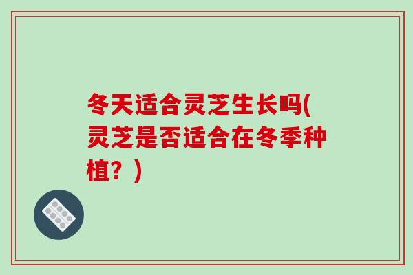 冬天适合灵芝生长吗(灵芝是否适合在冬季种植?) 冬天适合灵芝生长吗(灵芝是否适合在冬季种植?)