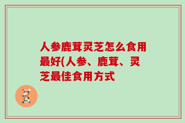人参鹿茸灵芝怎么食用好(人参、鹿茸、灵芝佳食用方式