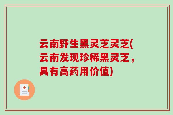 云南野生黑灵芝灵芝(云南发现珍稀黑灵芝，具有高药用价值)