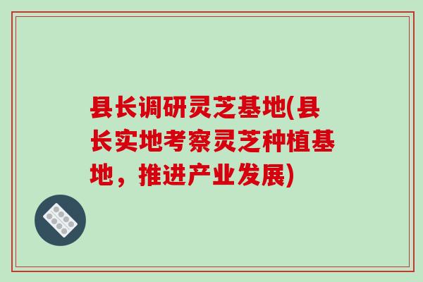 县长调研灵芝基地(县长实地考察灵芝种植基地,推进产业发展) 县长调研灵芝基地(县长实地考察灵芝种植基地,推进产业发展)