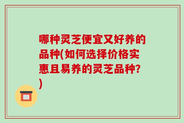 哪种灵芝便宜又好养的品种(如何选择价格实惠且易养的灵芝品种?) 哪种灵芝便宜又好养的品种(如何选择价格实惠且易养的灵芝品种?)