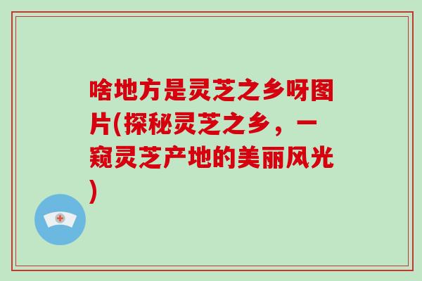 啥地方是灵芝之乡呀图片(探秘灵芝之乡，一窥灵芝产地的美丽风光)