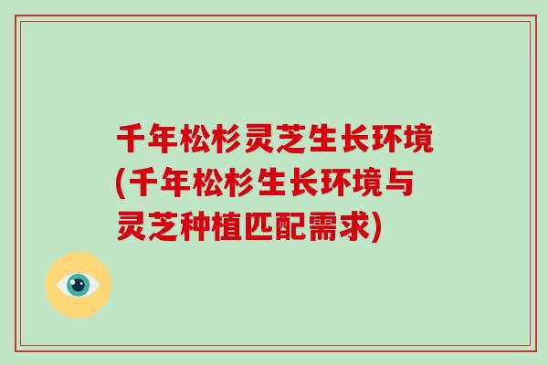 千年松杉灵芝生长环境(千年松杉生长环境与灵芝种植匹配需求)