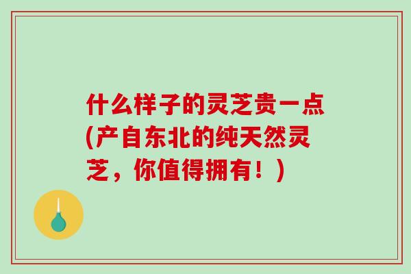 什么样子的灵芝贵一点(产自东北的纯天然灵芝，你值得拥有！)
