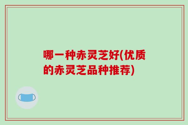 哪一种赤灵芝好(优质的赤灵芝品种推荐)