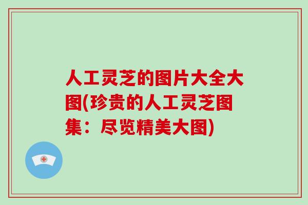 人工灵芝的图片大全大图(珍贵的人工灵芝图集:尽览精美大图) 人工灵芝的图片大全大图(珍贵的人工灵芝图集:尽览精美大图)