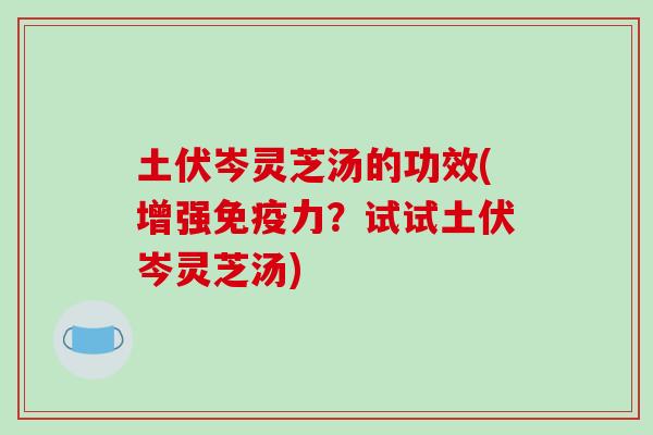 土伏岑灵芝汤的功效(增强免疫力？试试土伏岑灵芝汤)