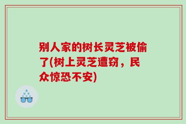 别人家的树长灵芝被偷了(树上灵芝遭窃,民众惊恐不安) 别人家的树长灵芝被偷了(树上灵芝遭窃,民众惊恐不安)