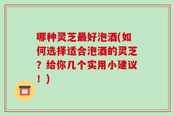 哪种灵芝好泡酒(如何选择适合泡酒的灵芝？给你几个实用小建议！)