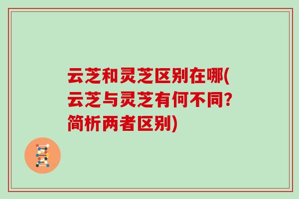 云芝和灵芝区别在哪(云芝与灵芝有何不同？简析两者区别)