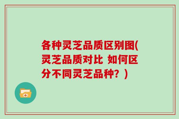 各种灵芝品质区别图(灵芝品质对比 如何区分不同灵芝品种？)